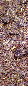 Rooibos Wildkirsche im Korkenglas