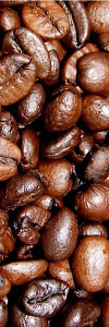 Kaffee Brasilien "Fazenda Lagoa"